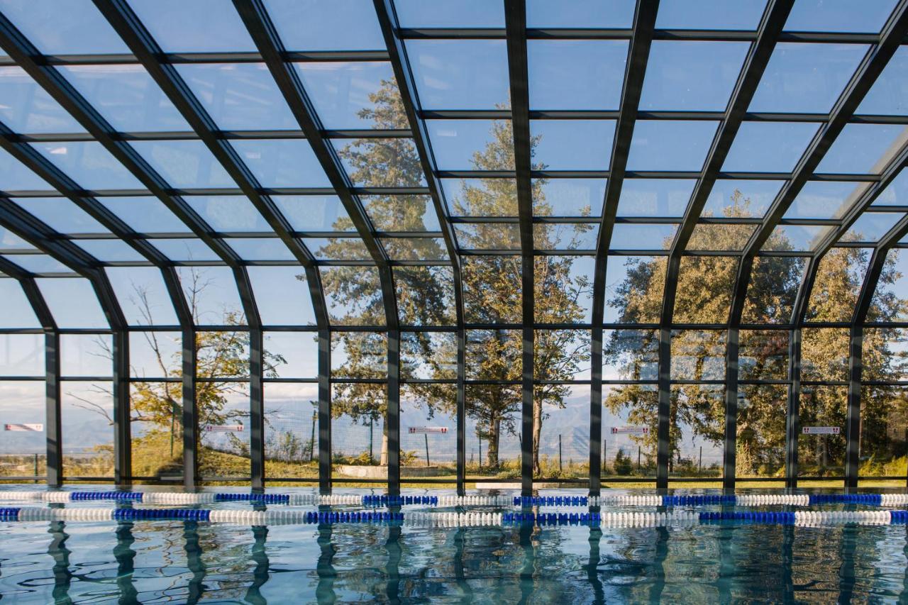 Tsinandali Estate, A Radisson Collection Hotel Zewnętrze zdjęcie Swimming pool with a retractable roof