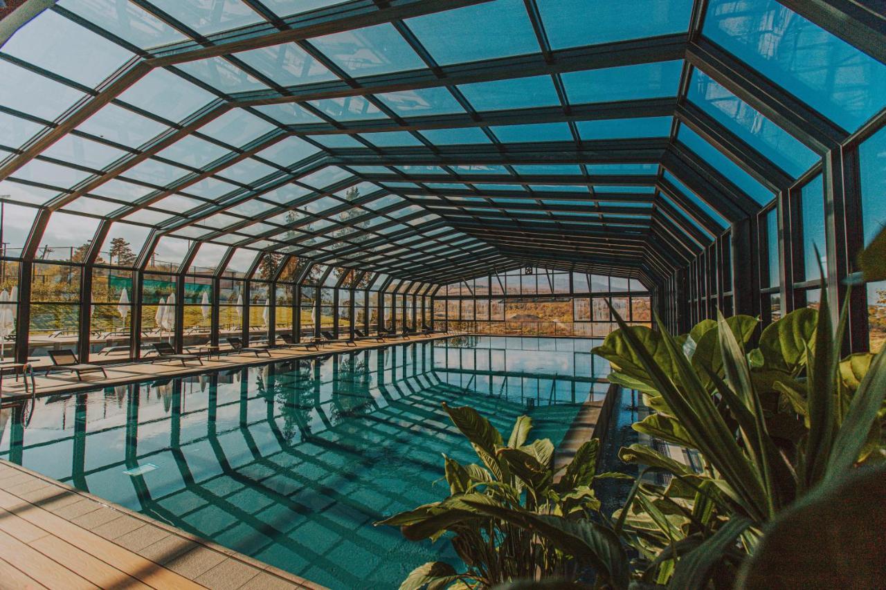 Tsinandali Estate, A Radisson Collection Hotel Zewnętrze zdjęcie Swimming pool at the hotel