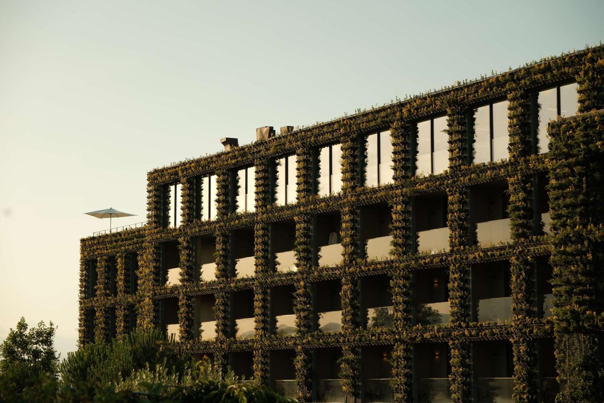 Tsinandali Estate, A Radisson Collection Hotel Zewnętrze zdjęcie The green facade of the CaixaForum Madrid